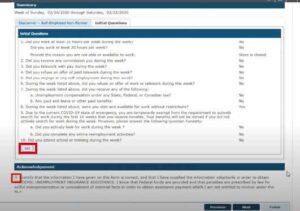 FILE YOUR WEEKLY CERTIFICATION visual data 6