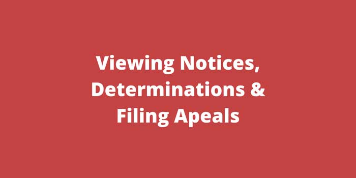 Viewing Notices, Determinations & Filing Apeals